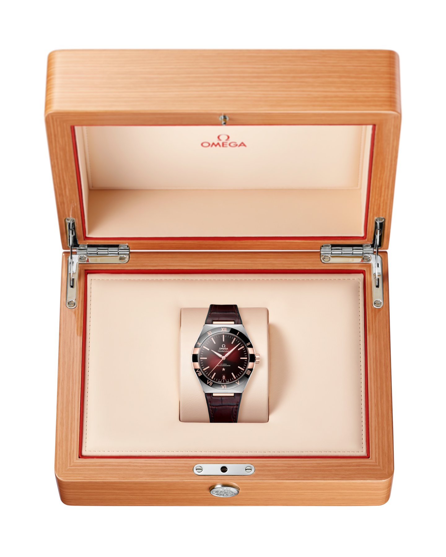 Constellation 41 mm Aço Bracelete de Couro