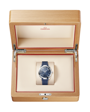 Seamaster Aqua Terra 150M 41 mm em Bracelete de Borracha