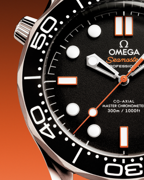 Seamaster Diver 300M 42 mm Steel on Steel