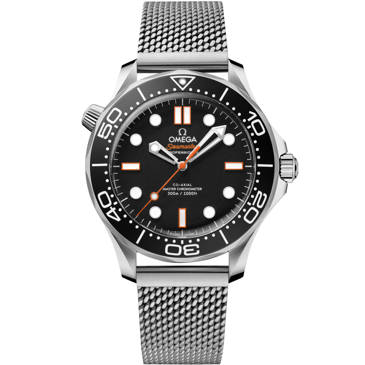 Seamaster Diver 300M 42 mm Steel on Steel
